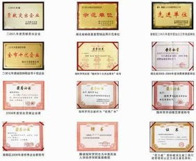 ISO9001 的核心作用及其在企业中的实际应用