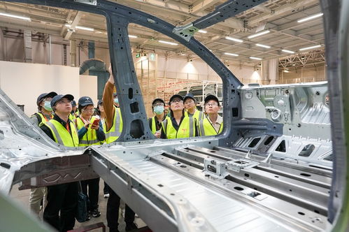 镜头聚焦新临港 高质量发展调研行走进上海临港新片区